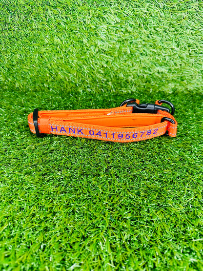 Personalised Pet Collars Hank