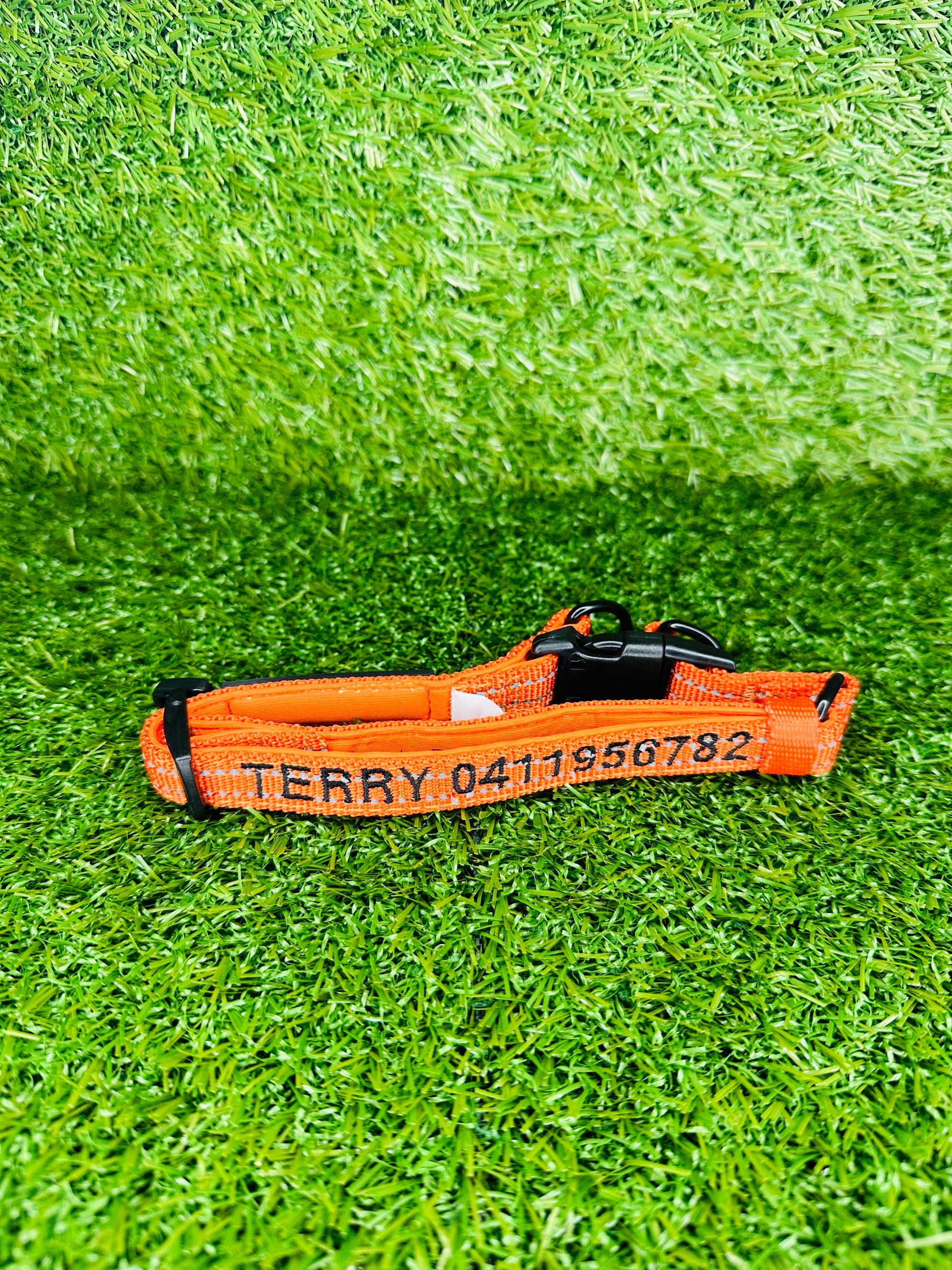 Personalised Pet Collar Terry