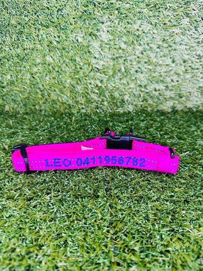 Personalised Pet Collars Leo