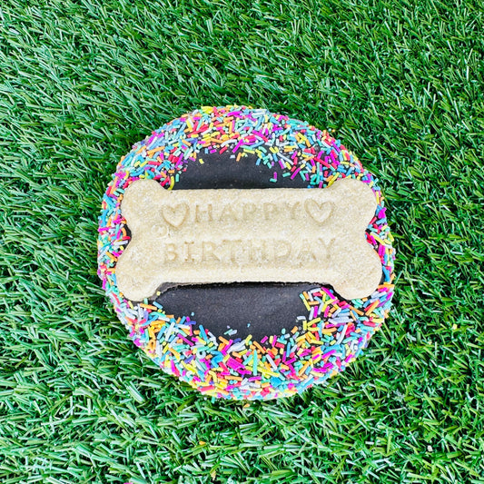 Birthday Biccy - Carob Frosted