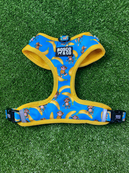Padded Adjustable Dog Harness: Monkey Business