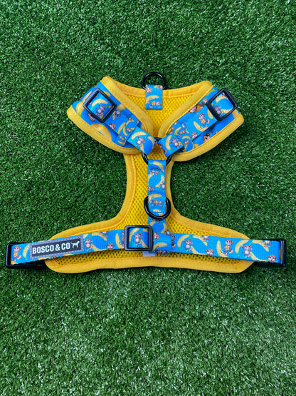 Padded Adjustable Dog Harness: Monkey Business