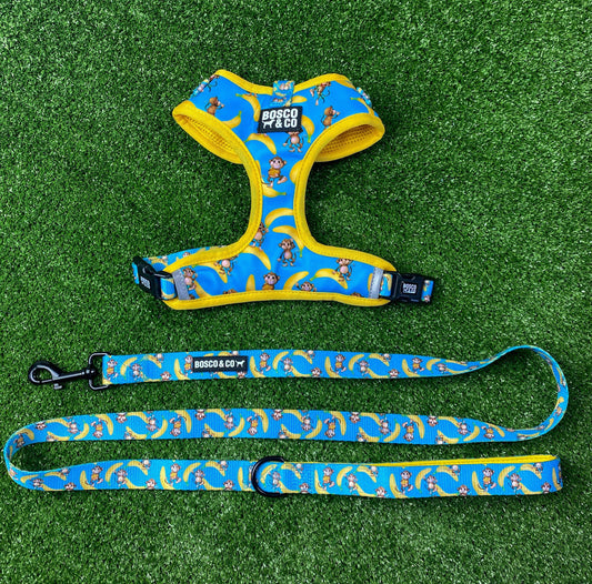 Padded Adjustable Dog Harness and leash Bundle