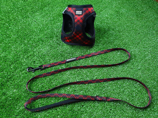 bunny-blooms-cat-harness-and-leash-set
