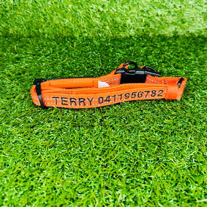 adjustable-custom-dog-collar
