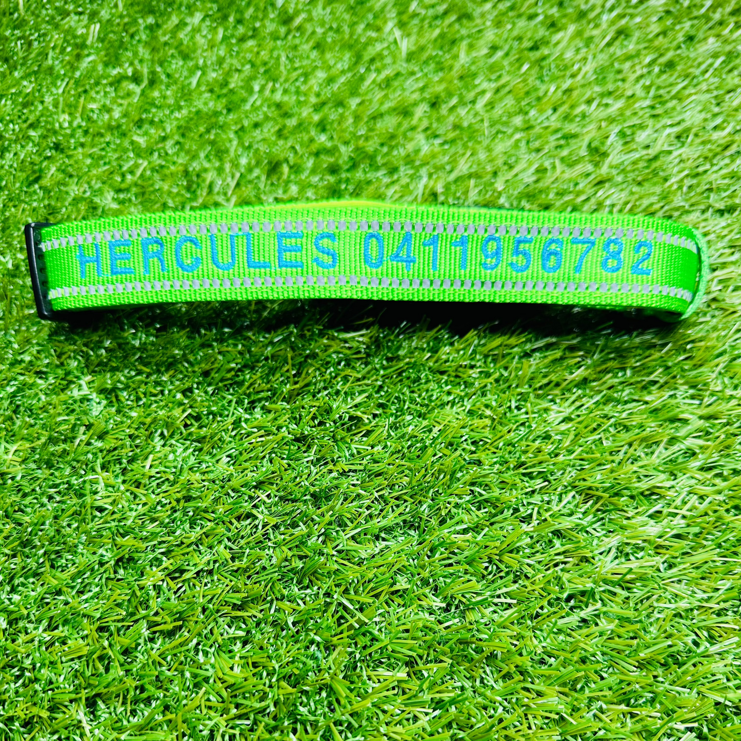 personalised-pet-collar-with-name
