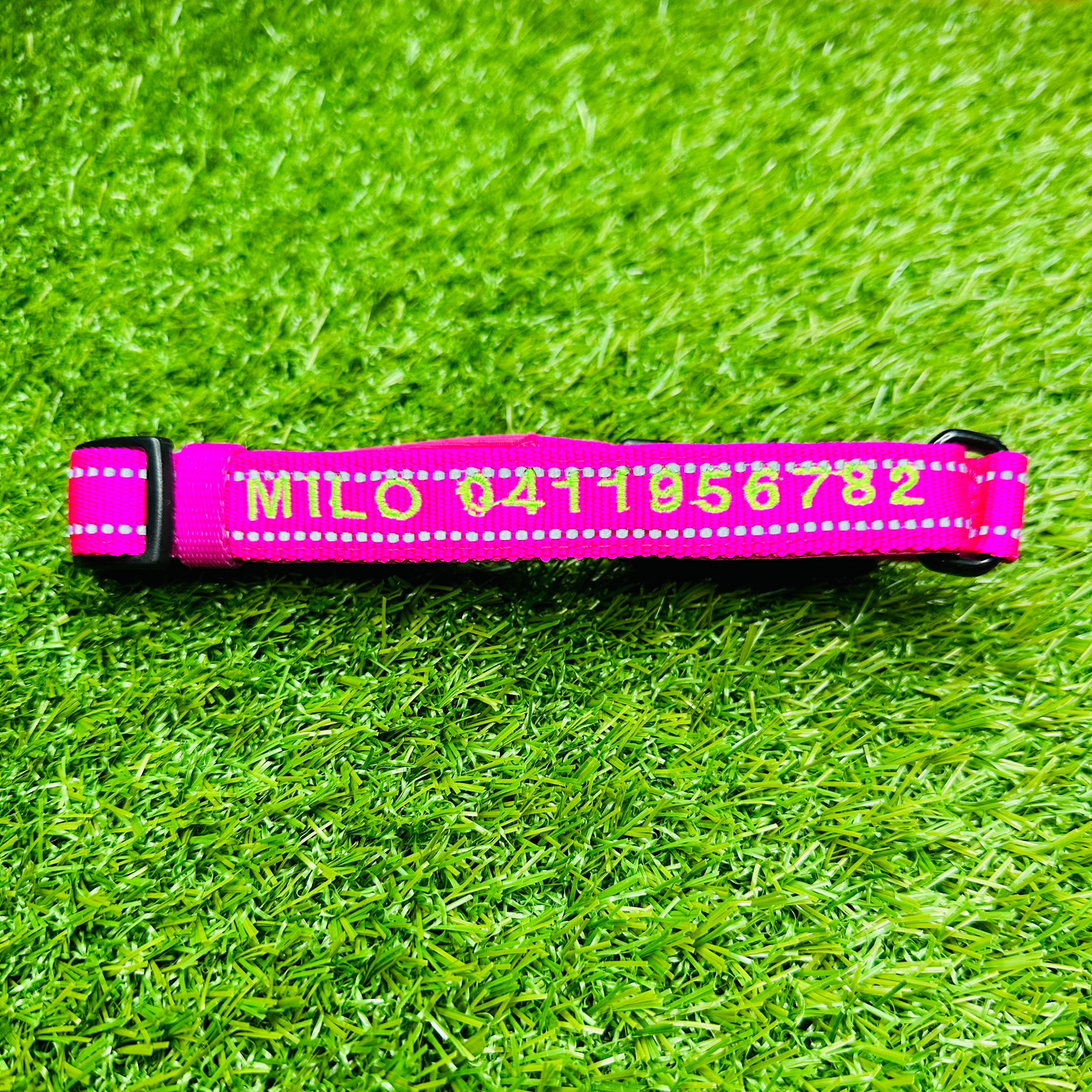 adjustable-custom-dog-collar