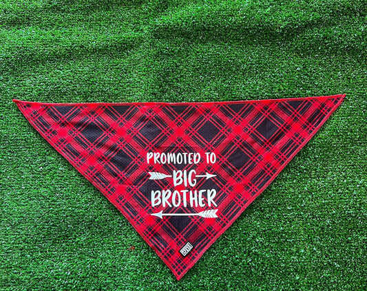 promoted-to-big-brother-dog-bandana-bosco-and-co