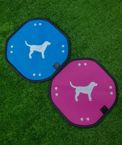 foldable-dog-water-bowl-portable-bosco-co